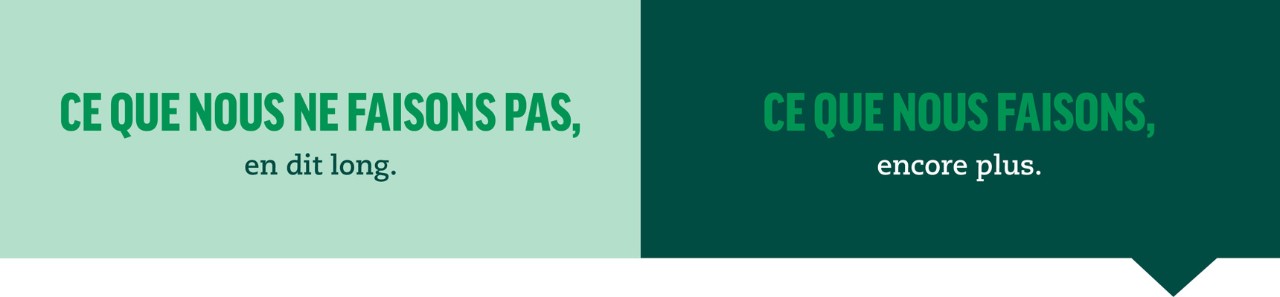 Banners FR-NL_02