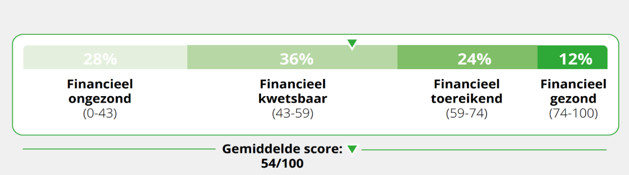 Van de ondervraagden bleek 28 % financieel ongezond, 36 % financieel kwetsbaar, 24 % financieel toereiken en 12 % financieel gezond.